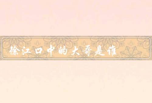 徐江口中的大哥是谁，赵立冬（因证据确凿徐江成弃子）