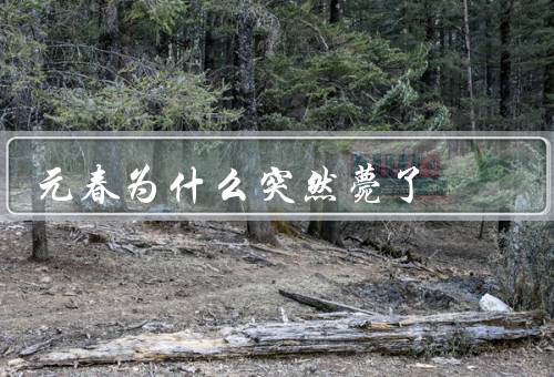 元春为什么突然薨了
