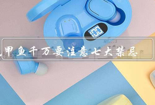 吃甲鱼千万要注意七大禁忌