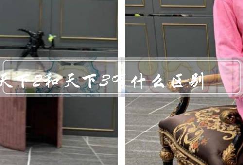天下2和天下3有什么区别