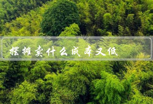 摆摊卖什么成本又低