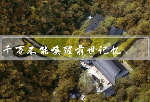 千万不能唤醒前世记忆