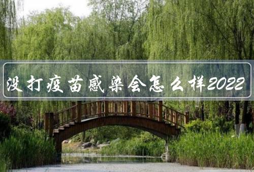如果没打疫苗感染会怎么样2022