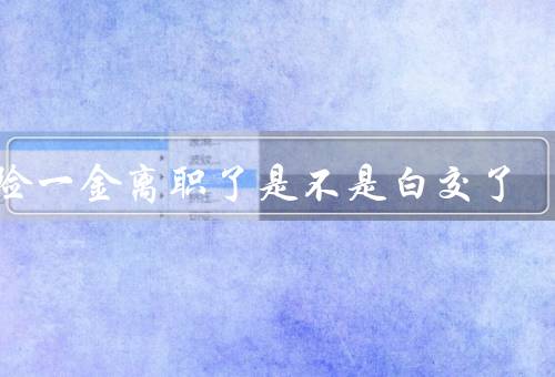 五险一金离职了是不是白交了