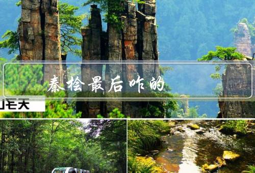 秦桧最后咋的，病（谥号“忠献”）