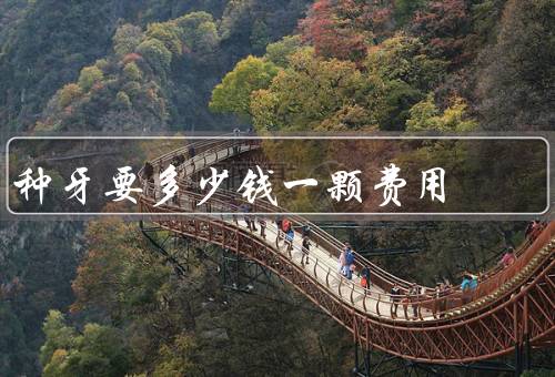 种牙要多少钱一颗费用