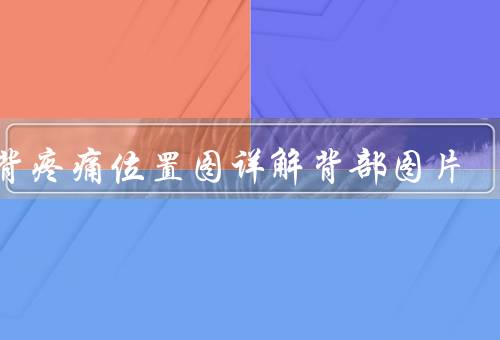 后背疼痛位置图详解背部图片