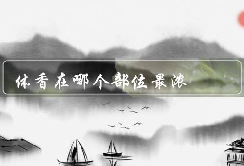 体香在哪个部位最浓