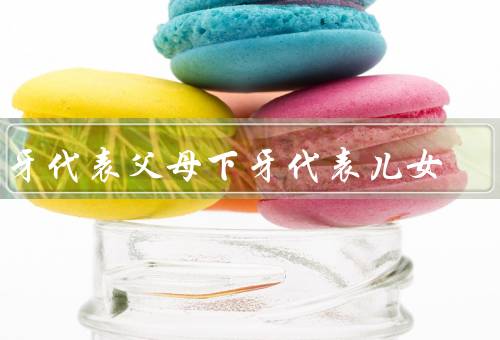 上牙代表父母下牙代表儿女