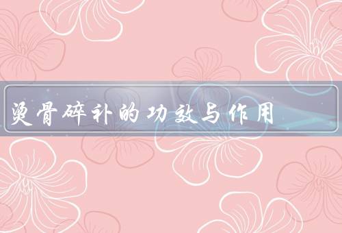 烫骨碎补的功效与作用
