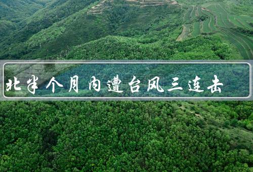 东北半个月内遭台风三连击