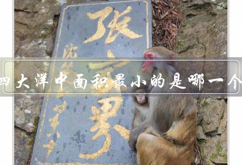 世界四大洋中面积最小的是哪一个，是北冰洋只占4.2%