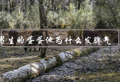 拍男生的蛋蛋他为什么发脾气