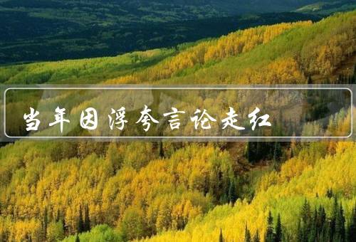 当年因浮夸言论走红