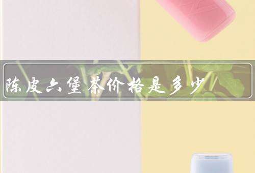 陈皮六堡茶价格是多少