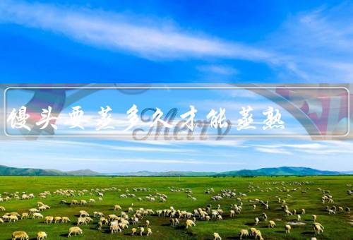 馒头要蒸多久才能蒸熟