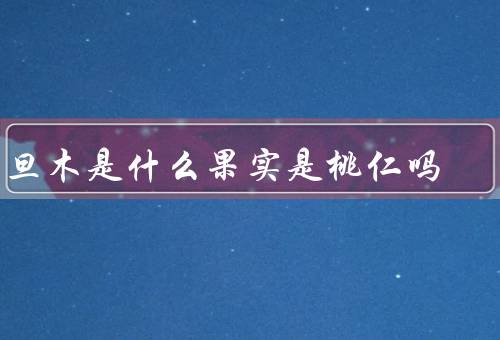 巴旦木是什么果实是桃仁吗