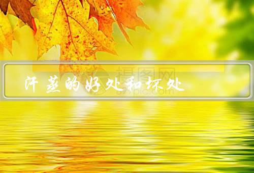 汗蒸的好处和坏处