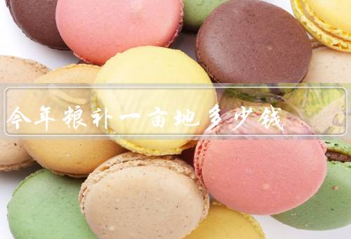 今年粮补一亩地多少钱