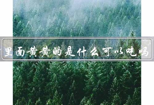 山竹里面黄黄的是什么可以吃吗