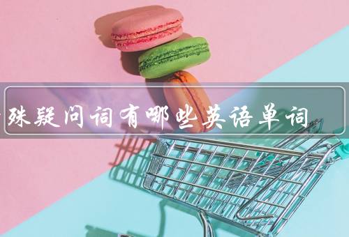 特殊疑问词有哪些英语单词