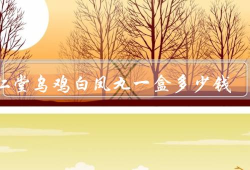 同仁堂乌鸡白凤丸一盒多少钱