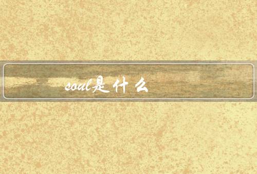 soul是什么