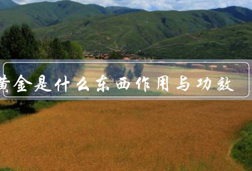 茶黄金是什么东西作用与功效