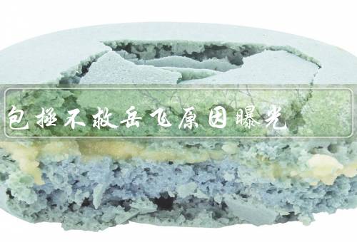 包拯不救岳飞原因曝光