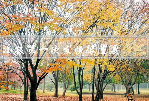 小孩第一次发烧很重要