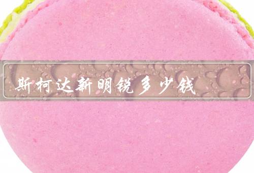 斯柯达新明锐多少钱