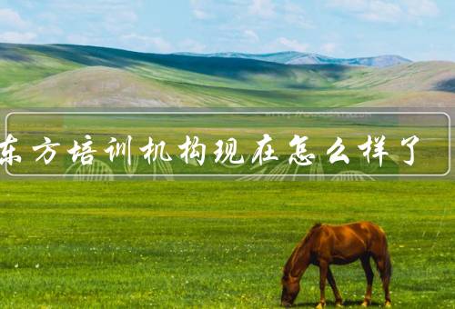 新东方培训机构现在怎么样了