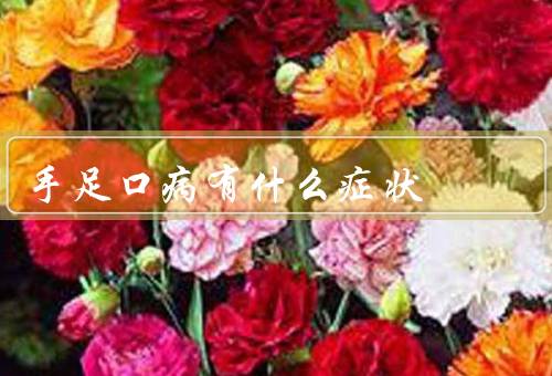手足口病有什么症状