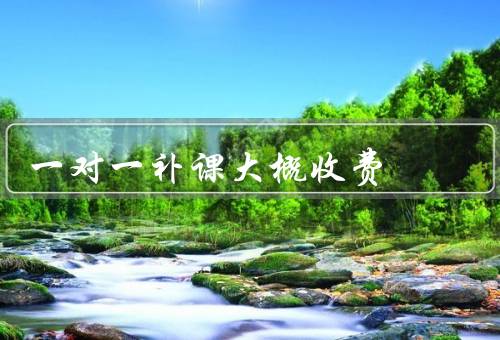一对一补课大概收费
