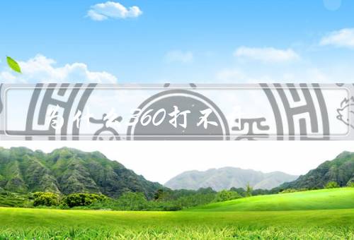 为什么360打不开