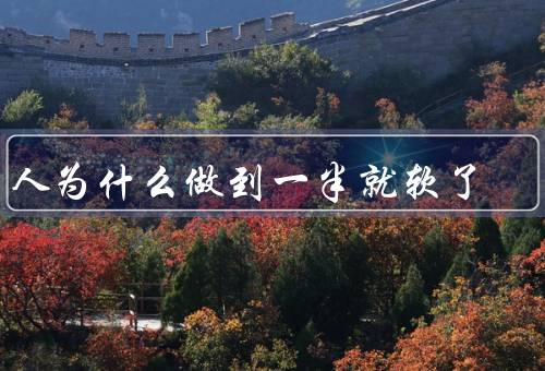 男人为什么做到一半就软了