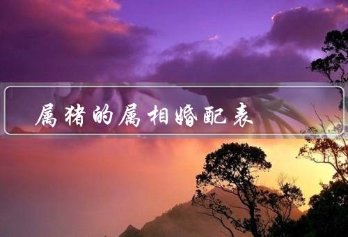 属猪的属相婚配表