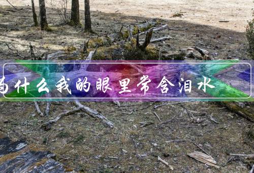 为什么我的眼里常含泪水