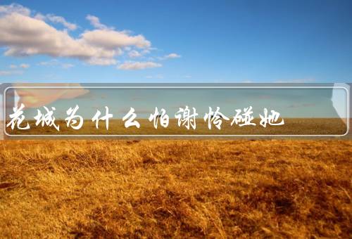 花城为什么怕谢怜碰她