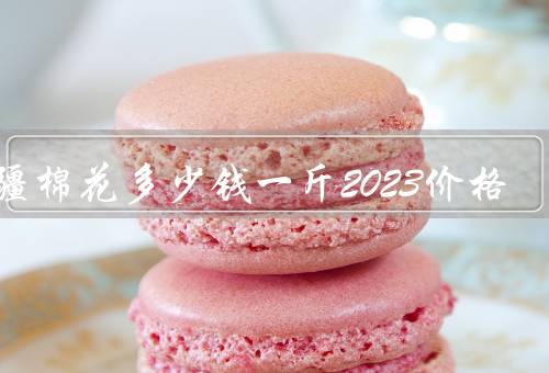 新疆棉花多少钱一斤2023价格
