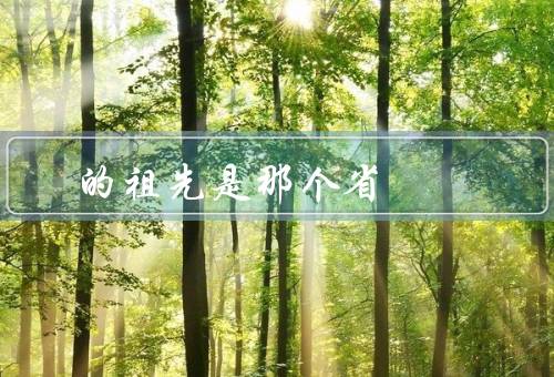 的祖先是那个省