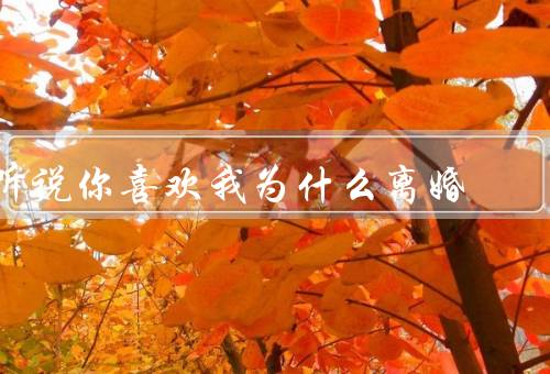 听说你喜欢我为什么离婚