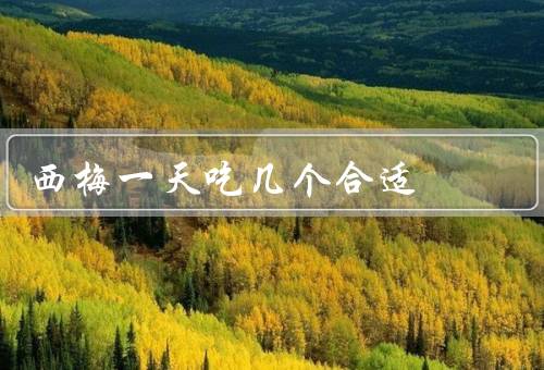 西梅一天吃几个合适