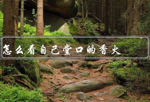 怎么看自己堂口的香火
