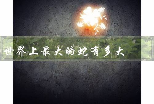 世界上最大的蛇有多大