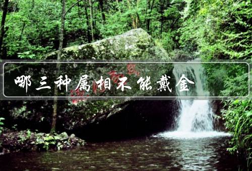 哪三种属相不能戴金