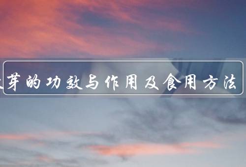 刺嫩芽的功效与作用及食用方法