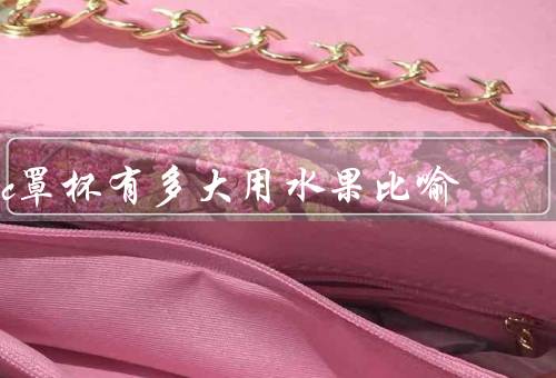 c罩杯有多大用水果比喻