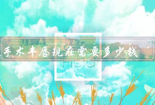 做手术丰唇现在需要多少钱