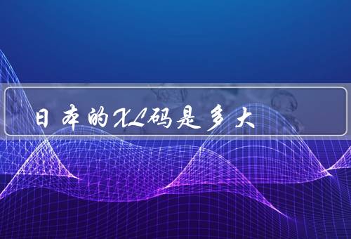 日本的XL码是多大
